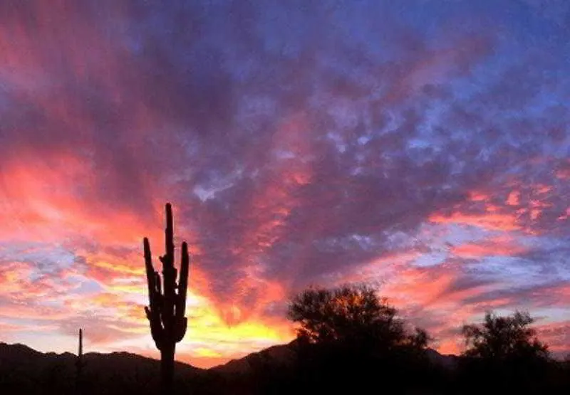 Sonesta Es Suites Scottsdale Paradise Valley